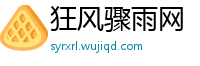 狂风骤雨网